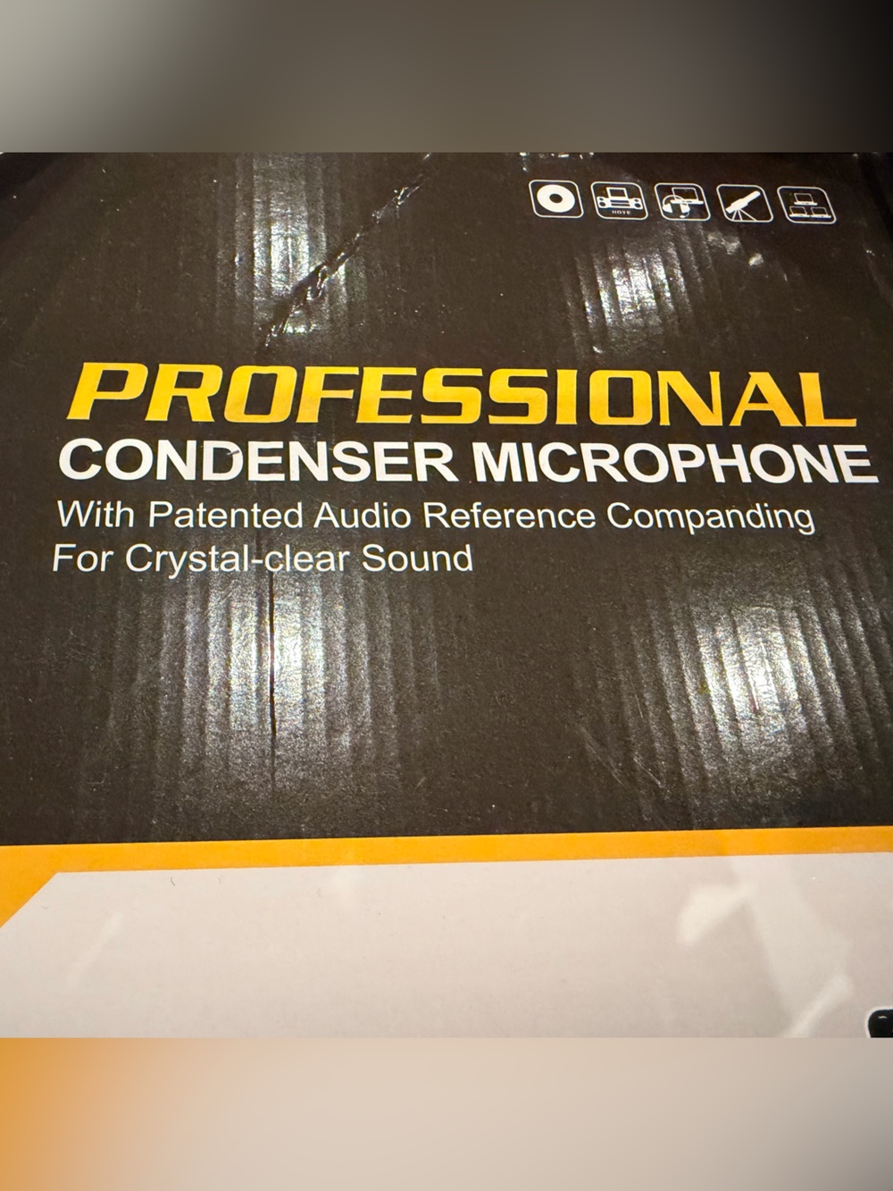 NWT Professional Condenser Microphone